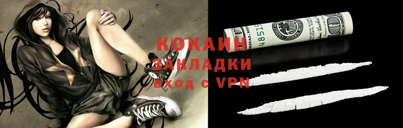 COCAIN FishScale  где купить наркотик  Анадырь 